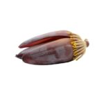 Banana Flower 1piece (700gm- 1kg)