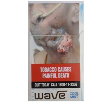 Wave Cool Mint 10 piece